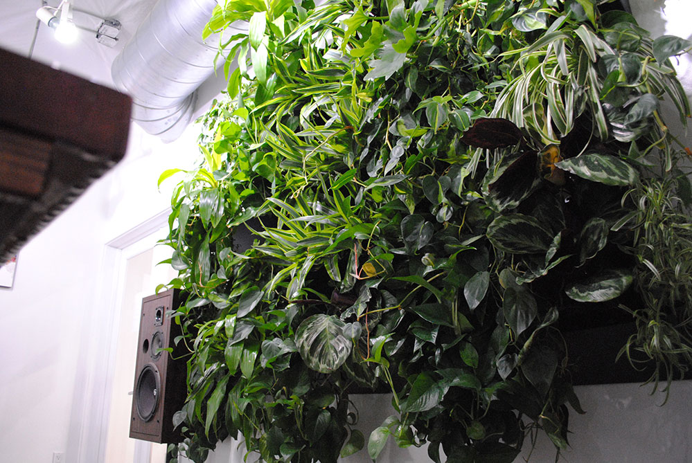 Plants growing at the Sacramento Brew Bike Bar