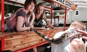 Sacramento Mixed and Private Bar Tours